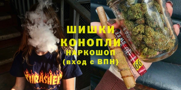 крисы Бронницы