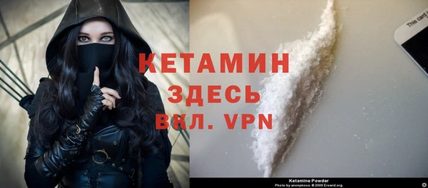 крисы Бронницы