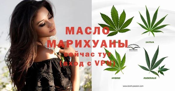 крисы Бронницы