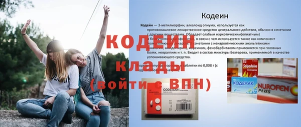 крисы Бронницы