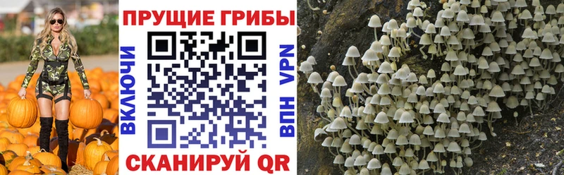 Псилоцибиновые грибы ЛСД  Купить  Усть-Кут 